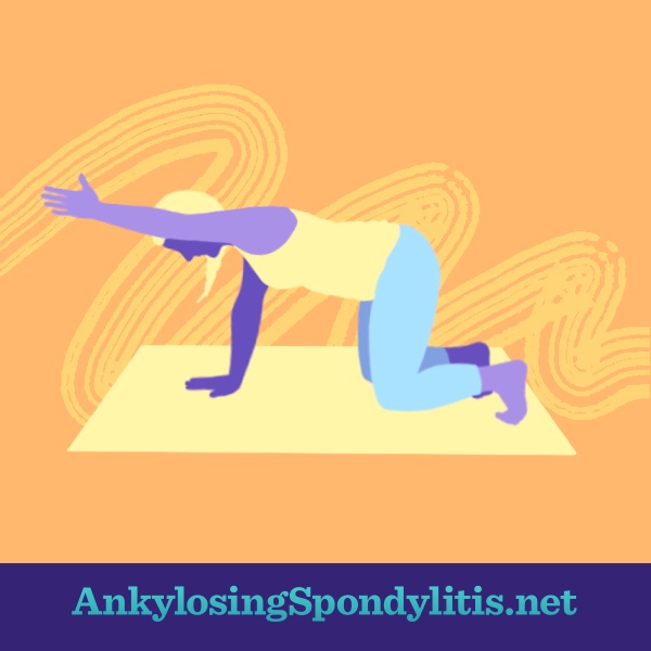 Person demonstrating Bird-Dog Pose.